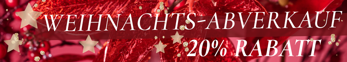 Weihnachtssale 2025