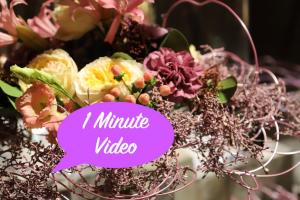 Video: Blume trifft Alu!