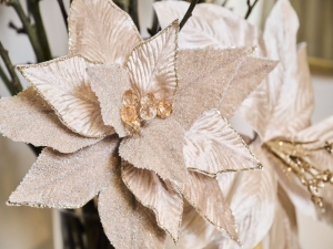 HERBST & WEIHNACHTSTRENDS 2026