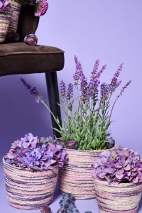 FR�HJAHRS- & SOMMERTRENDS 2026