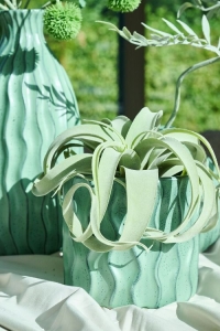 FR�HJAHRS- & SOMMERTRENDS 2026