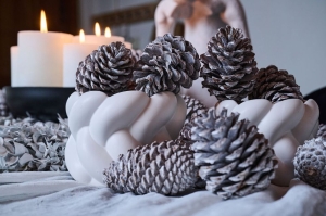 HERBST & WEIHNACHTSTRENDS 2025