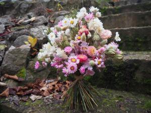 Dried Flowers are back!