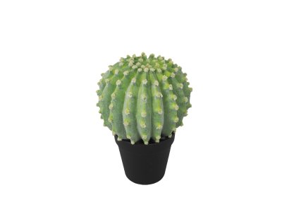 Kugel-Kaktus im Topf D19xH24cm  2086-10