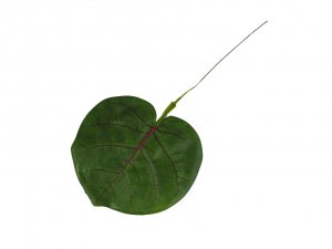 Hoja Blatt Am Draht 13x28cm Grun 2125 75