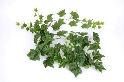 Girlande Efeu - L180cm  265895000900