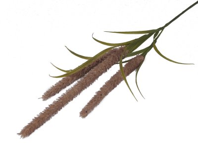 Binsengras x3 115cm · 272053115306