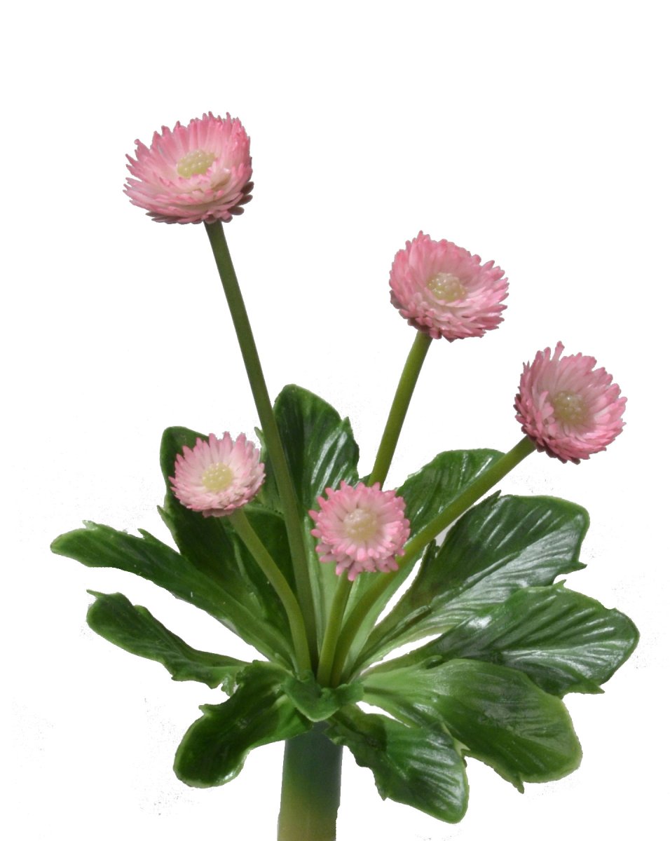 BellisBusch 5 Blüten H16,5cm rosa · 13003821
