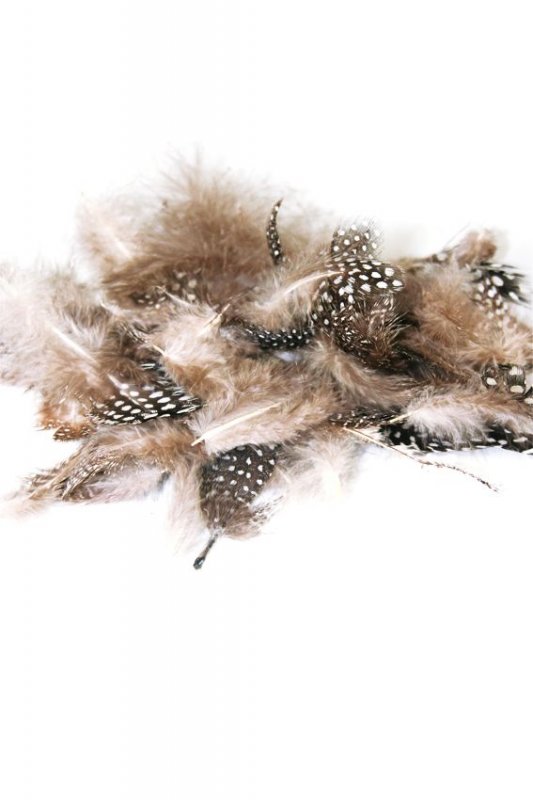 50 Stück Perlhuhn Federn – Bunt, 5-10 Cm, Für Basteln & Deko