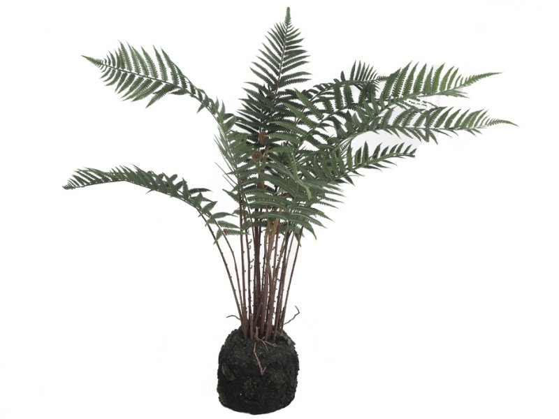Farn-Pflanze mit Erde 90cm grn  2086-17