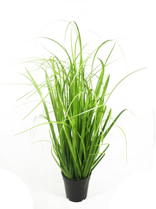 Deko Gras Strandhafer FERNZE Im Dekotopf, Grün, 50cm