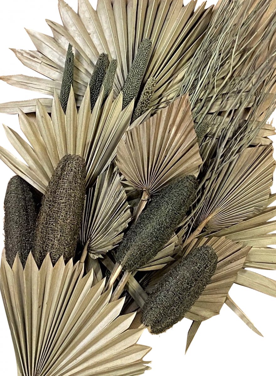 Trockennblumen-Bouquet Exotic taupe · 2302211