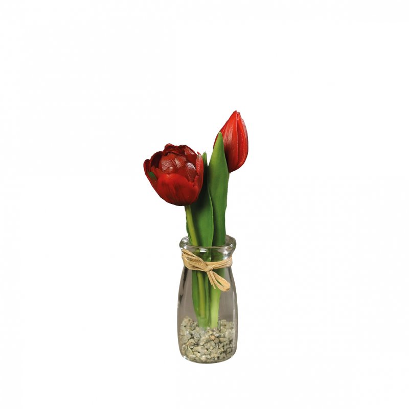 Tulpen im Glas 20cm rot · 3566902